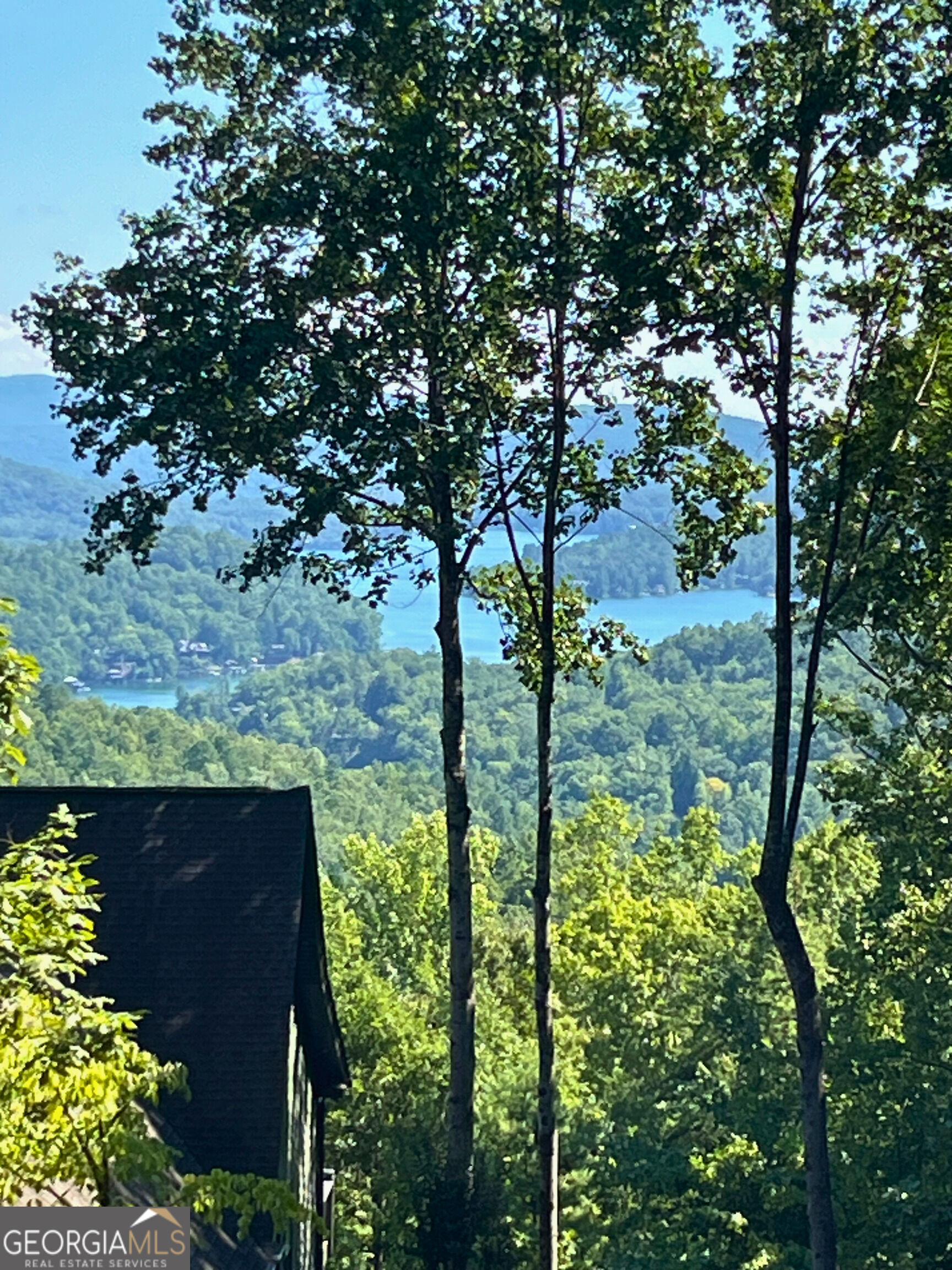Lot 8 Lake View Property Photo 1