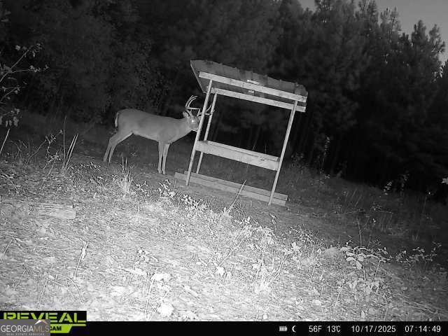 0 Barentine Rd Property Photo 2