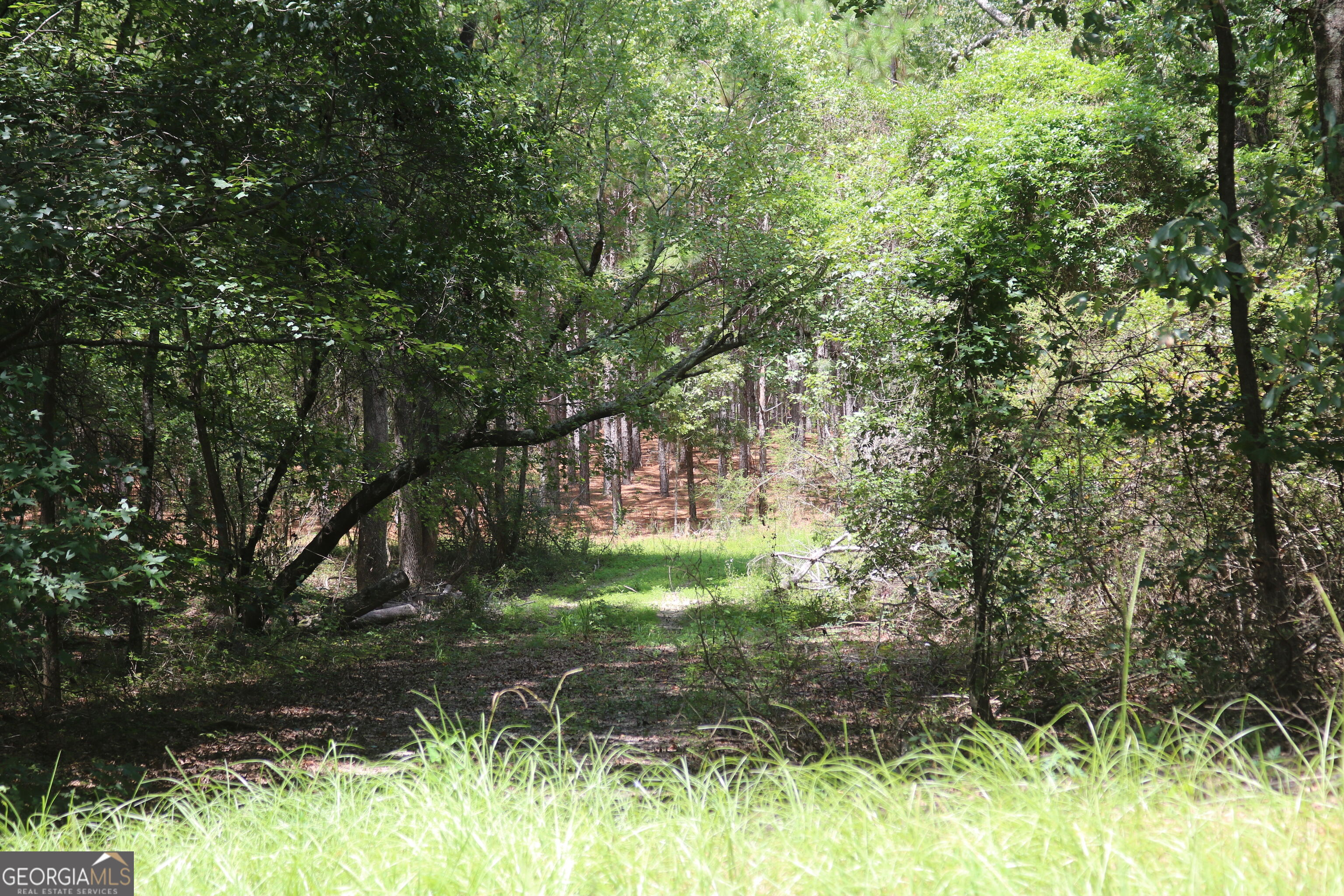 0 Barentine Rd Property Photo 23