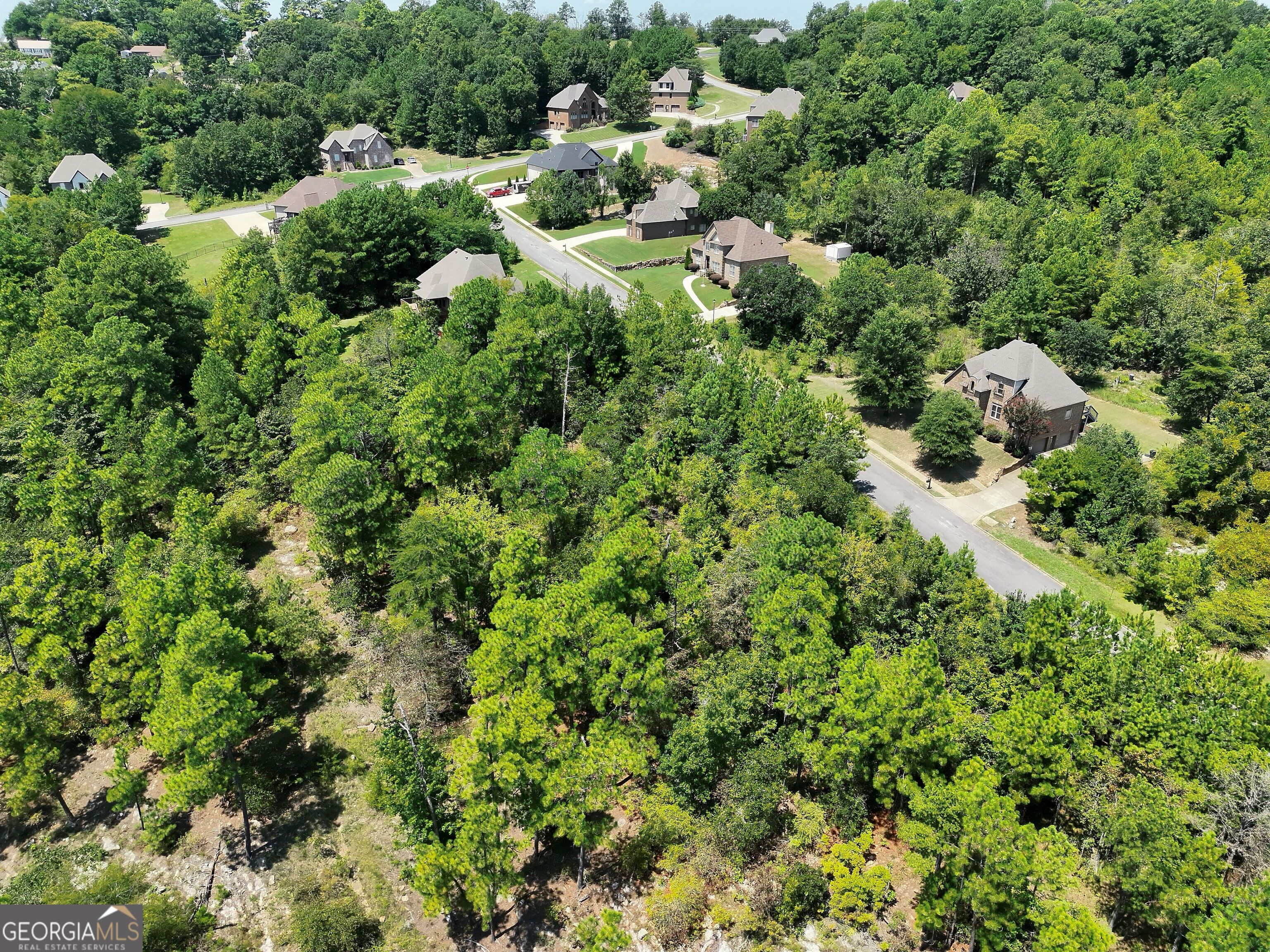 1016 Sterling Lakes Circle Property Photo 6
