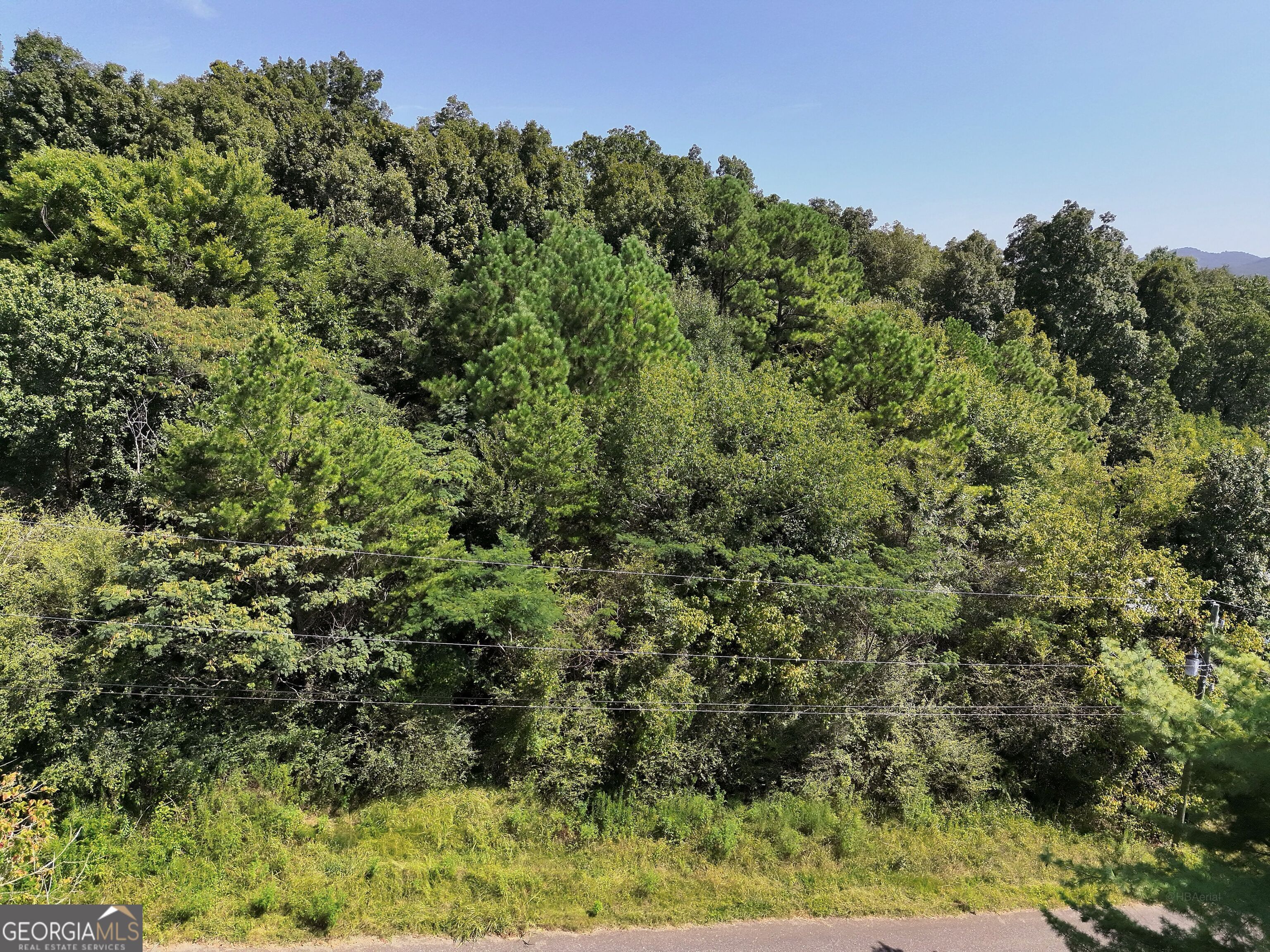 6171 Knob Knoster Road Property Photo 9