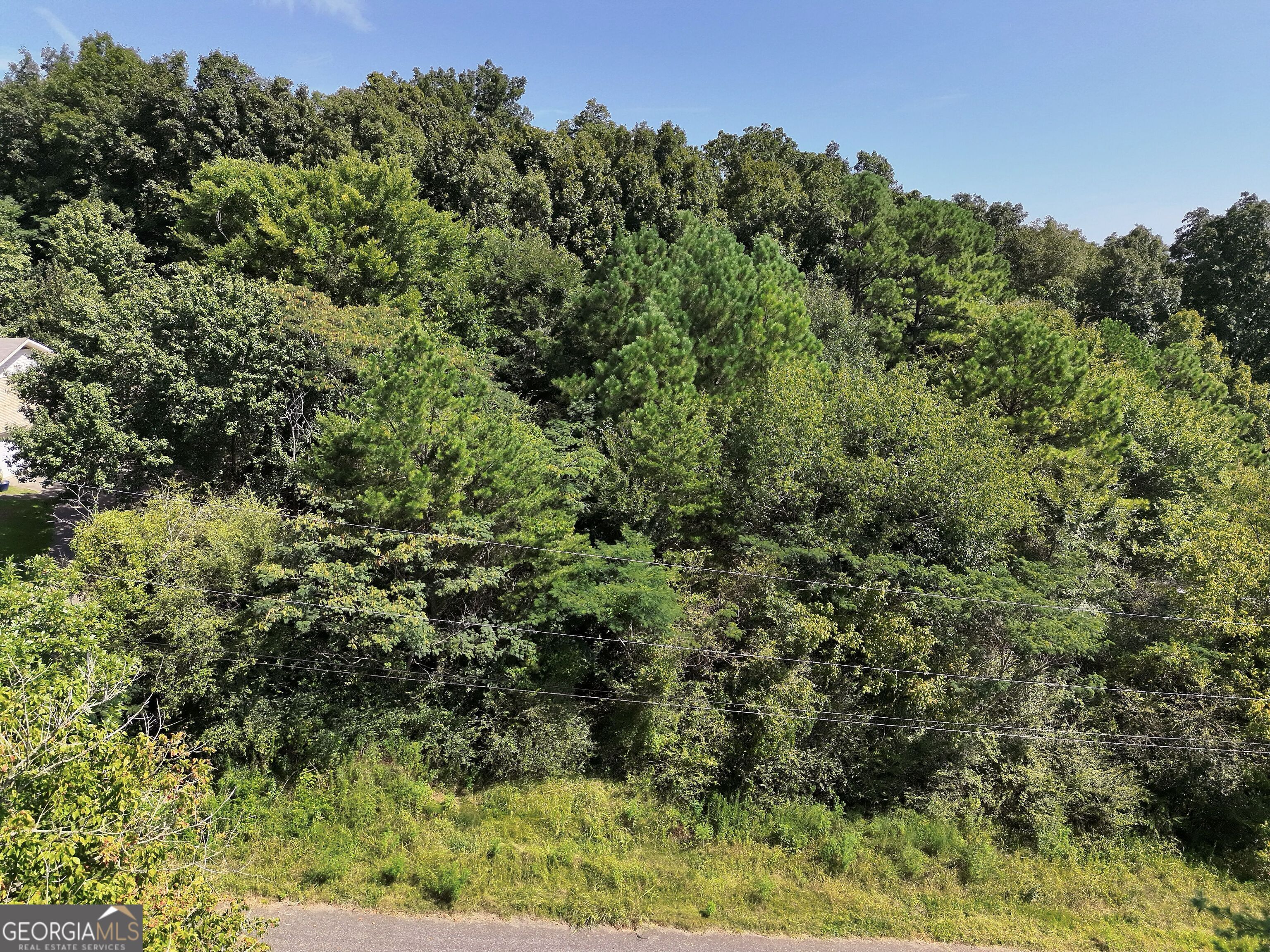 6171 Knob Knoster Road Property Photo 10