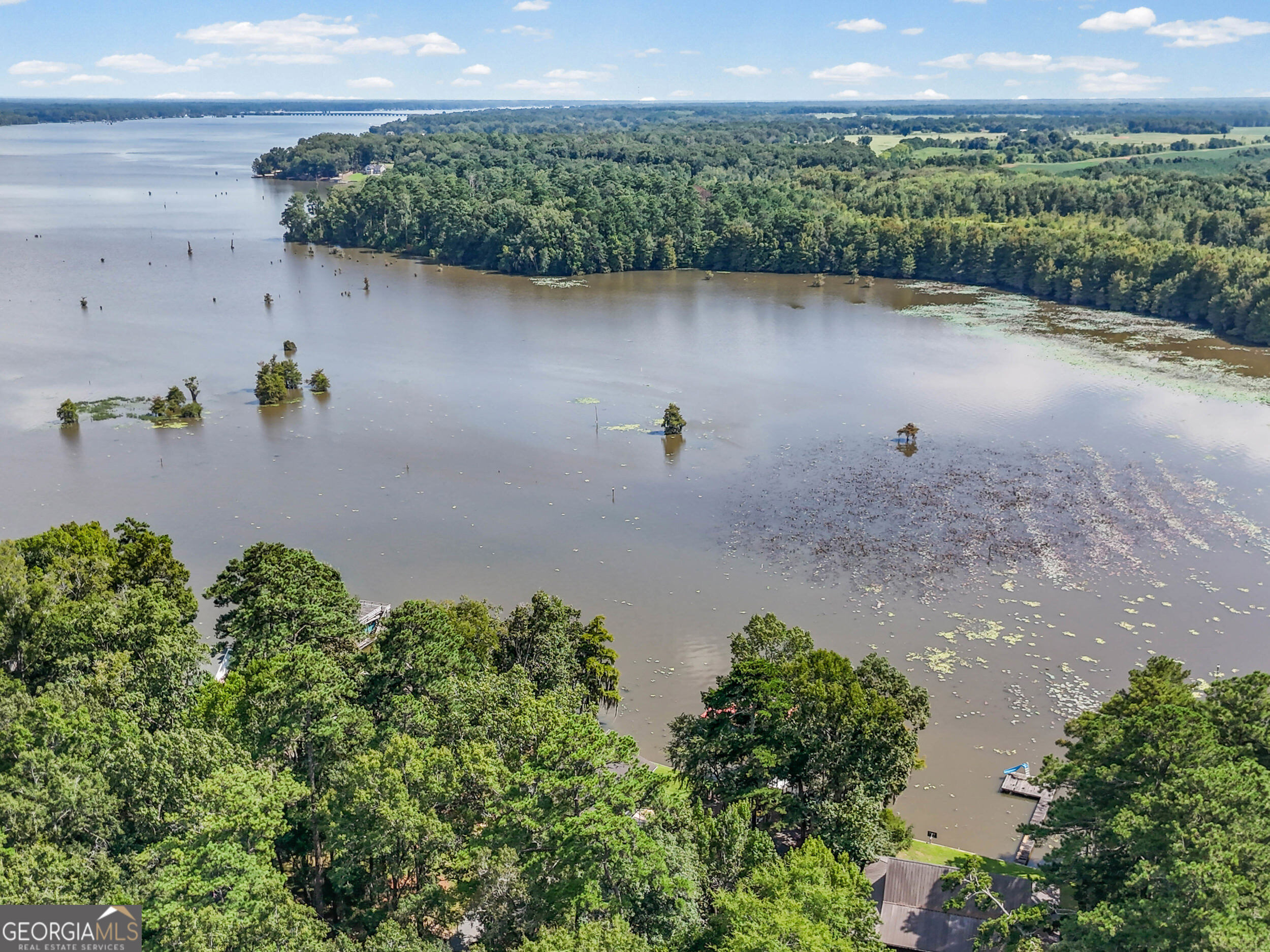 110 Sawdust Trail Property Photo 65