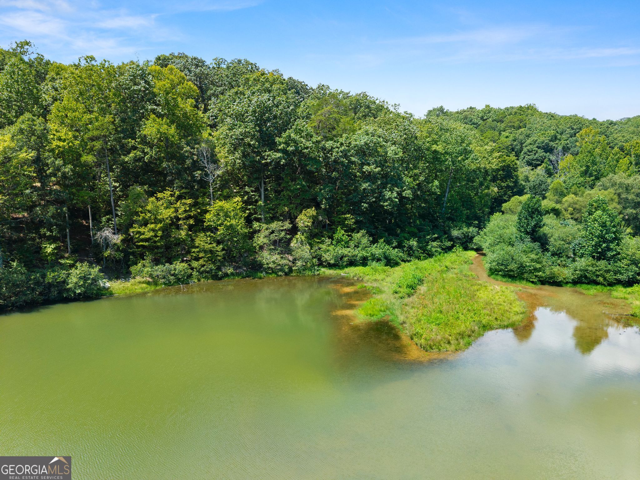 150 Lake Ridge Trail Property Photo 18