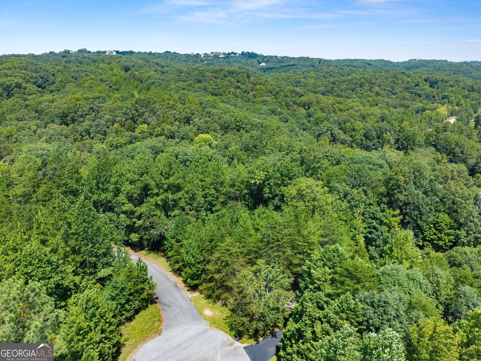 150 Lake Ridge Trail Property Photo 22
