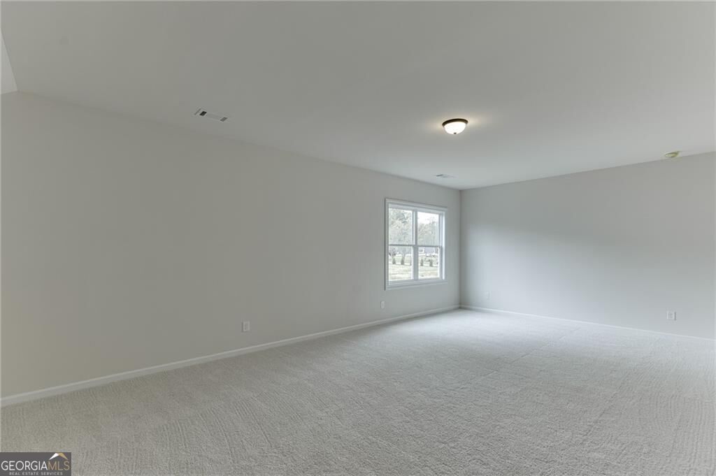 8145 Heardsville Court Property Photo 37