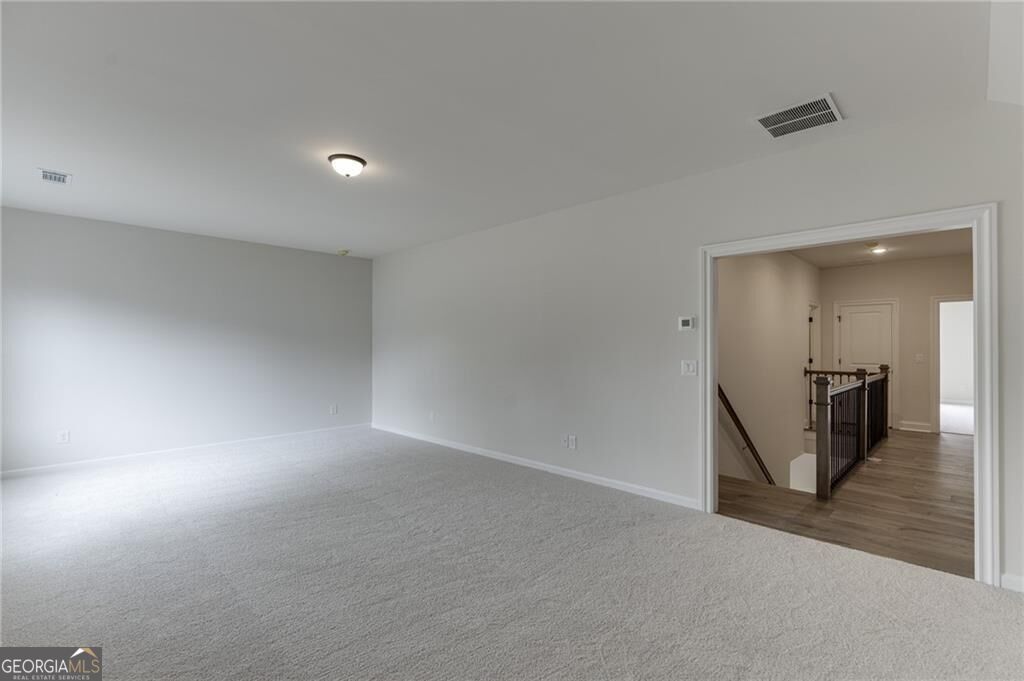8145 Heardsville Court Property Photo 38