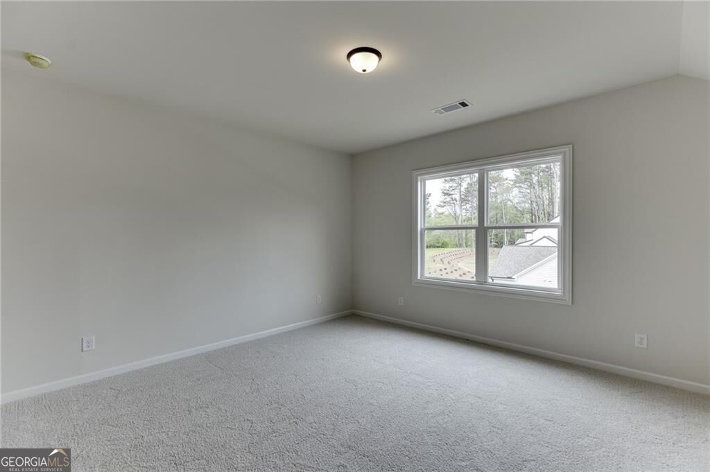 8145 Heardsville Court Property Photo 40