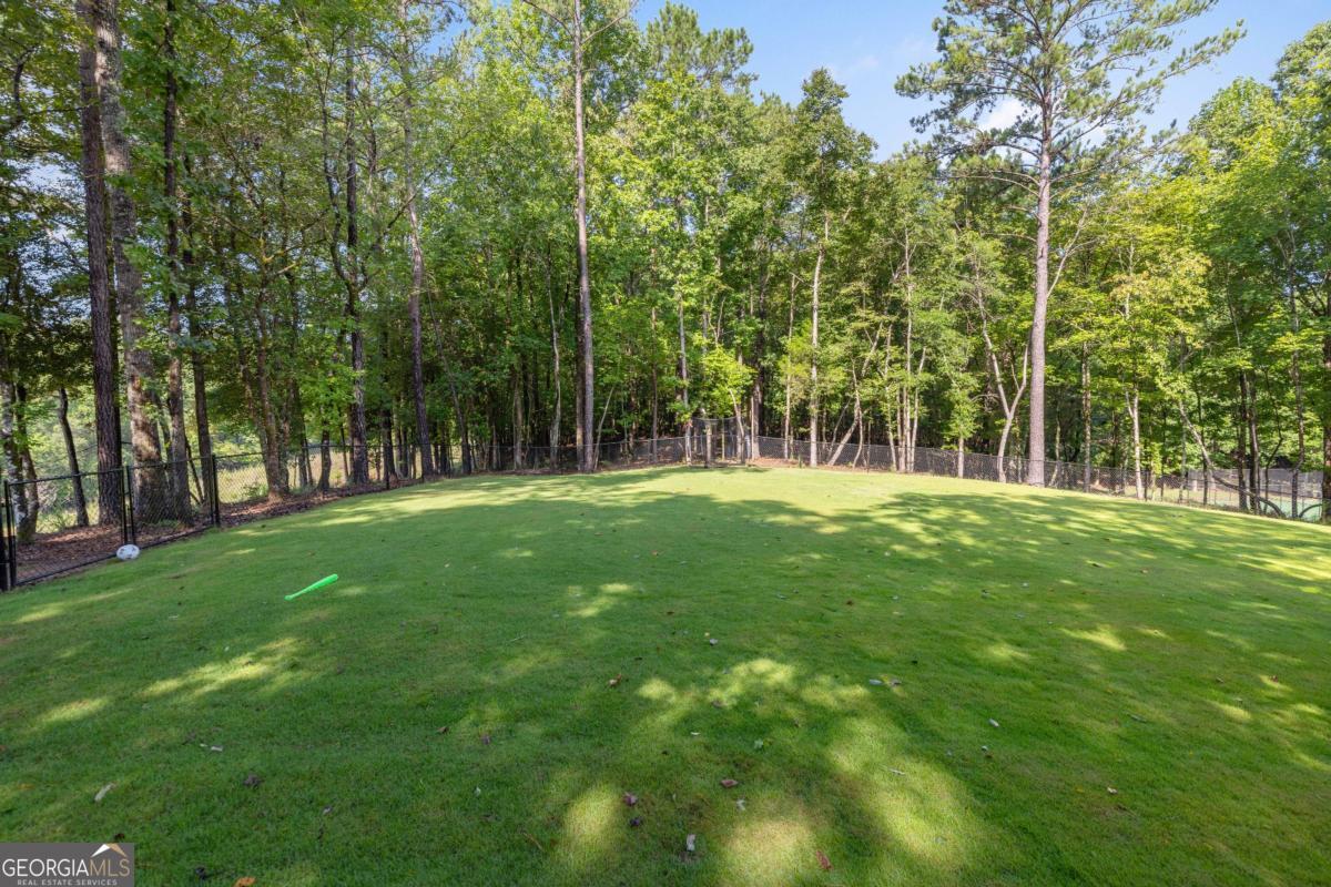 313 Troop Drive Property Photo 105