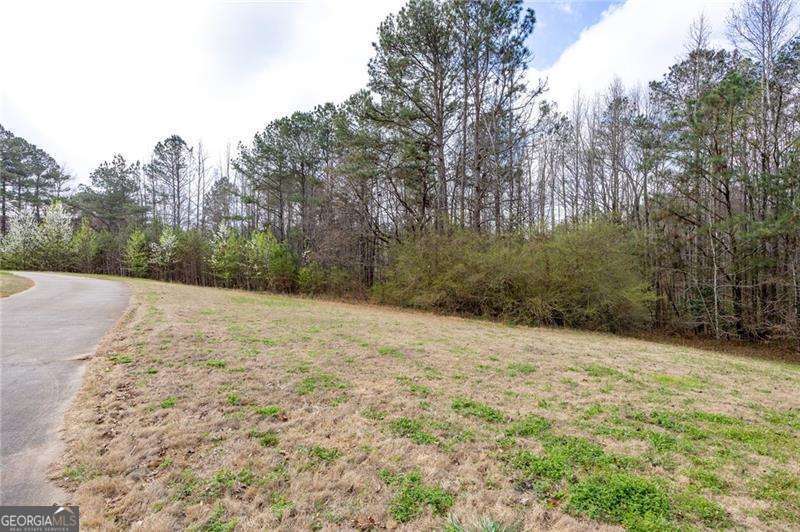 7387 Milam Road Property Photo 37