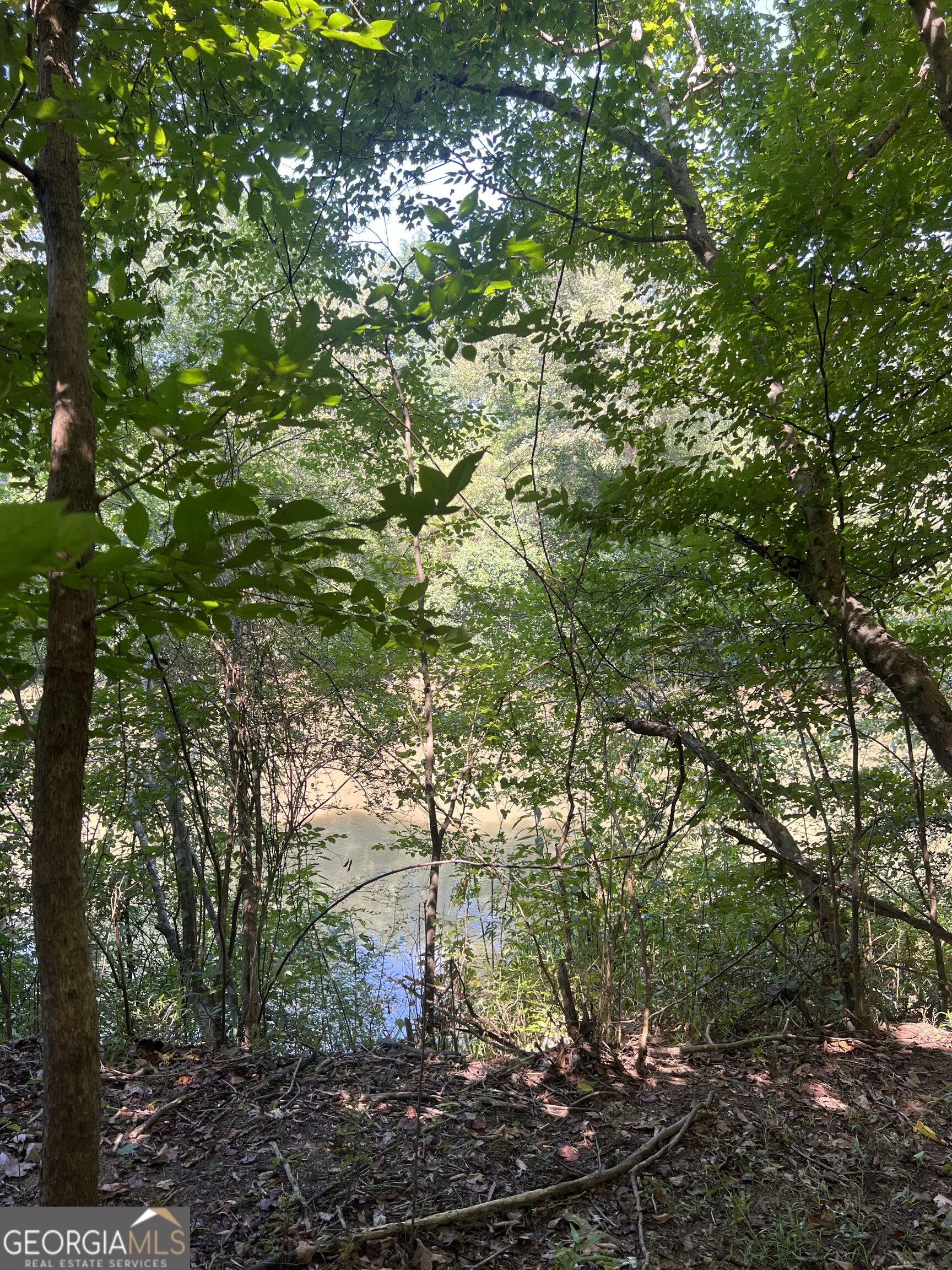 185 River Shoals Court Property Photo 1