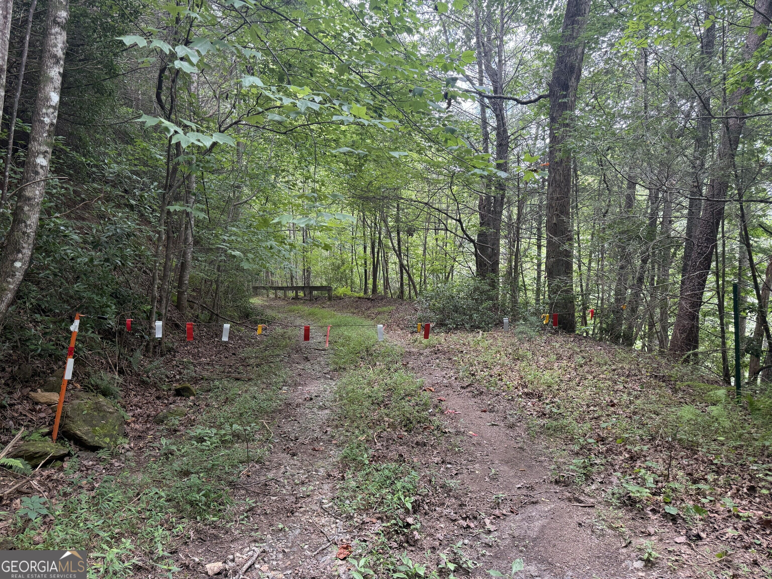 0 Yahoola Indian Trail Property Photo 2
