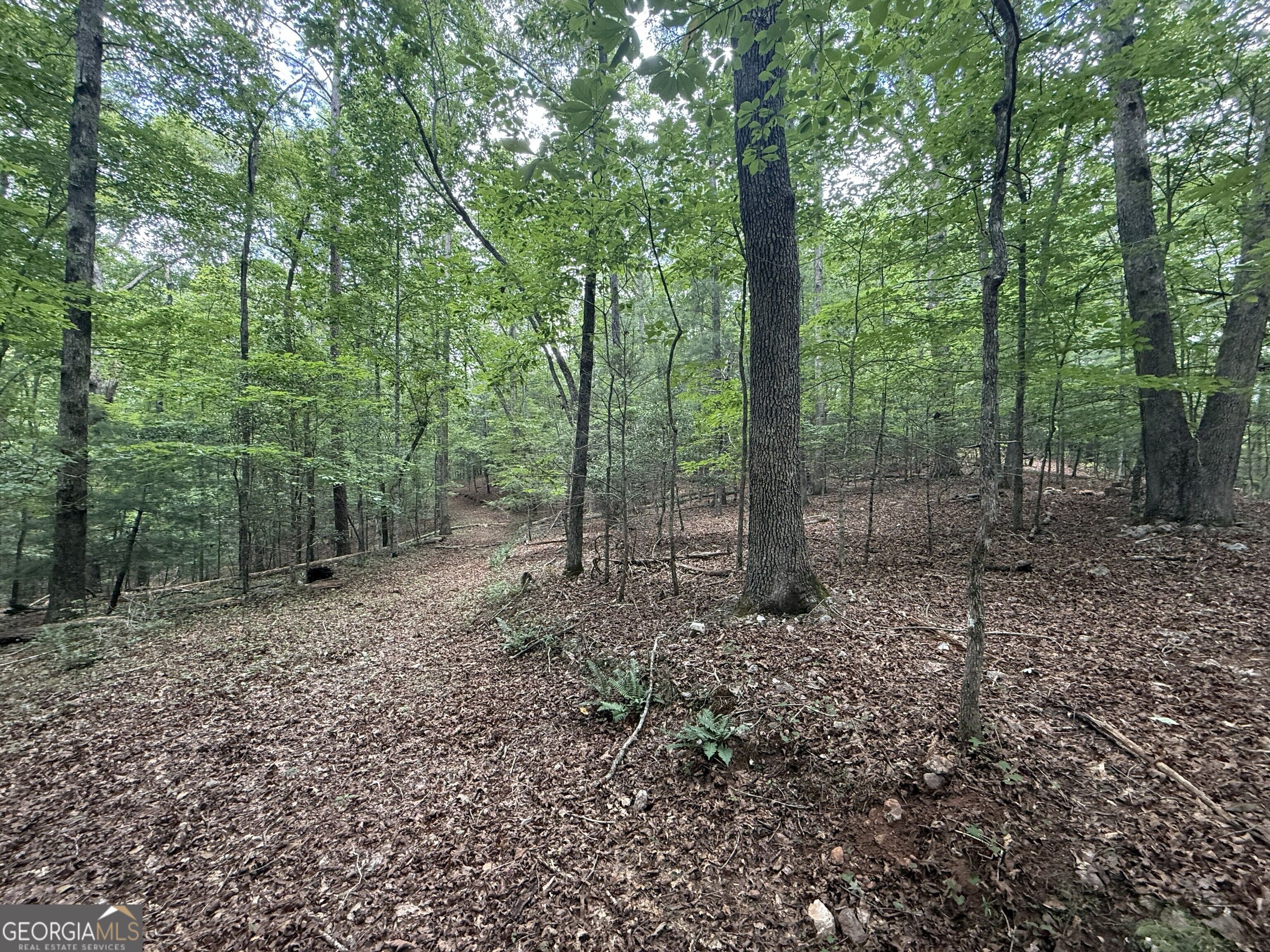 0 Yahoola Indian Trail Property Photo 4