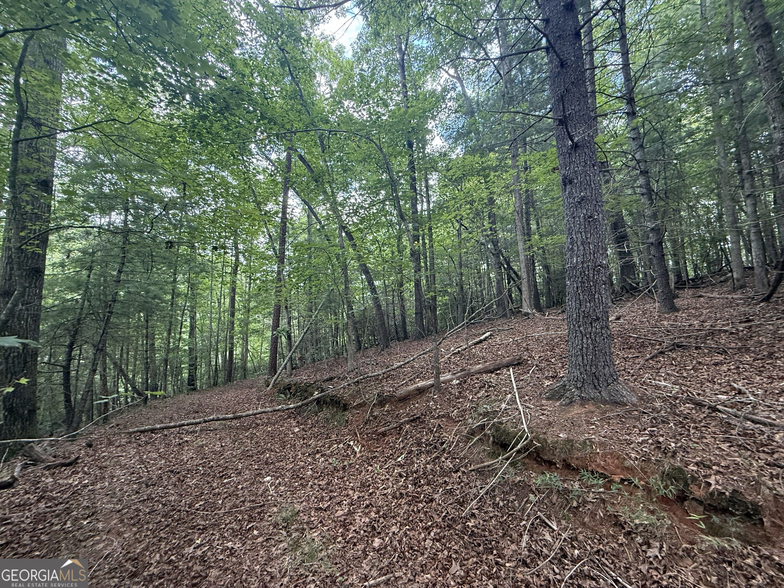 0 Yahoola Indian Trail Property Photo 6