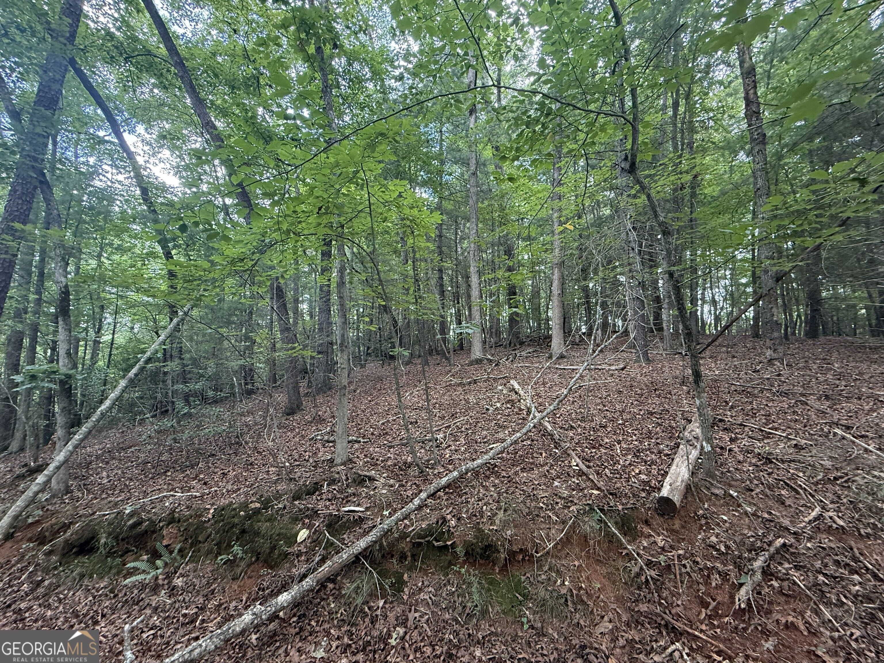 0 Yahoola Indian Trail Property Photo 7