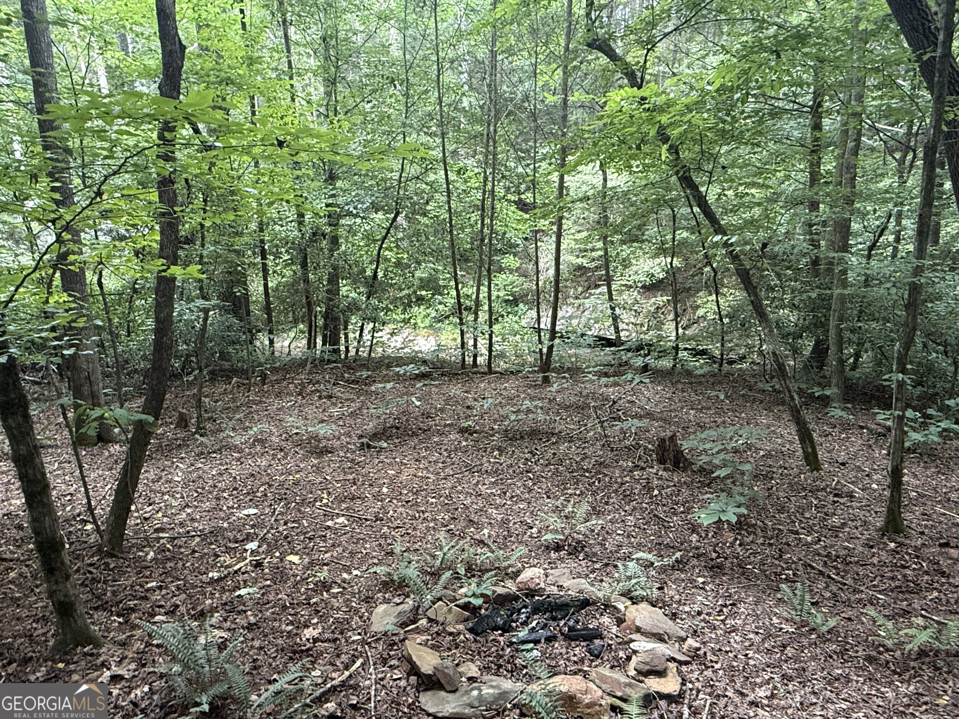 0 Yahoola Indian Trail Property Photo 8