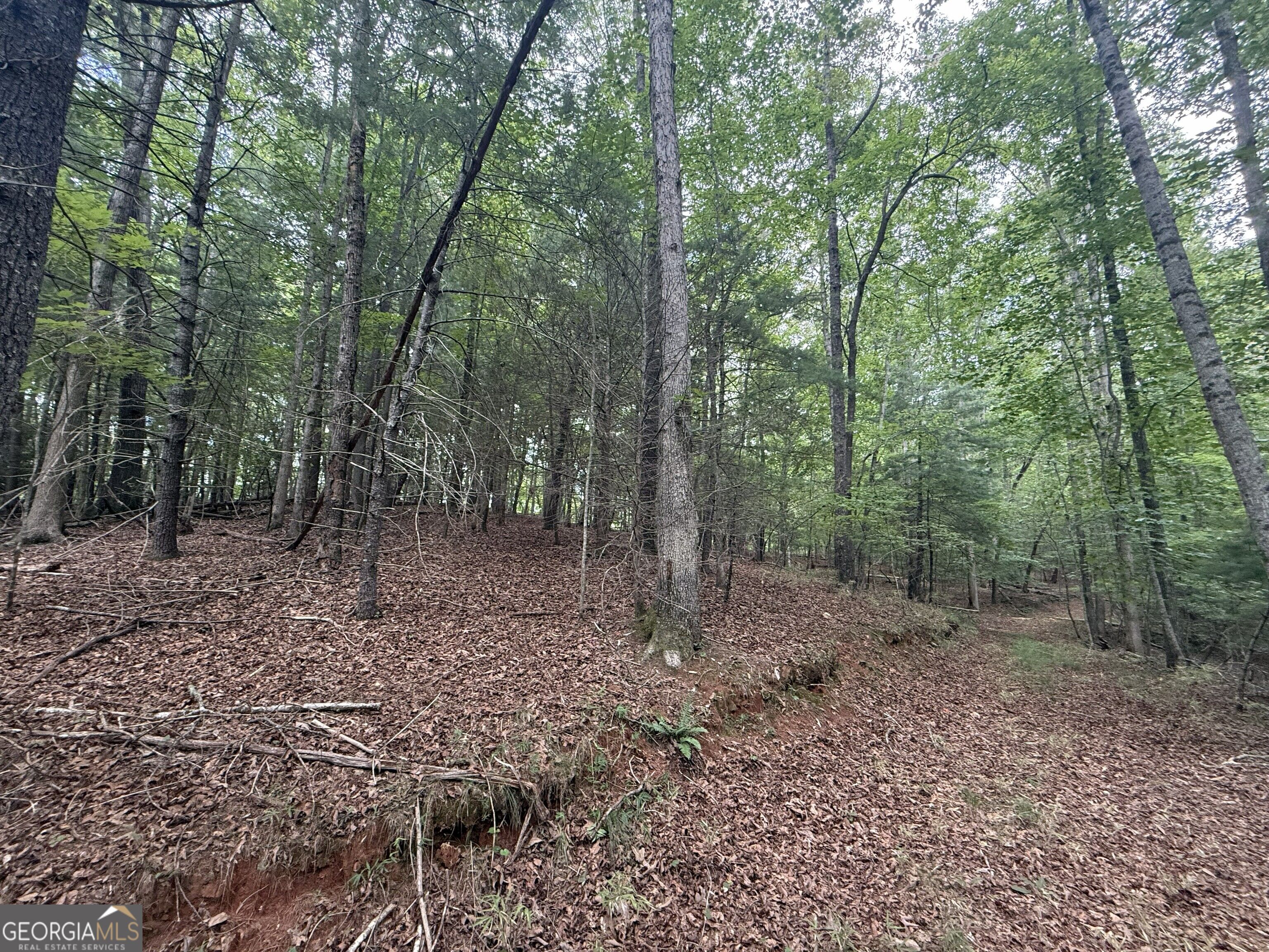 0 Yahoola Indian Trail Property Photo 14