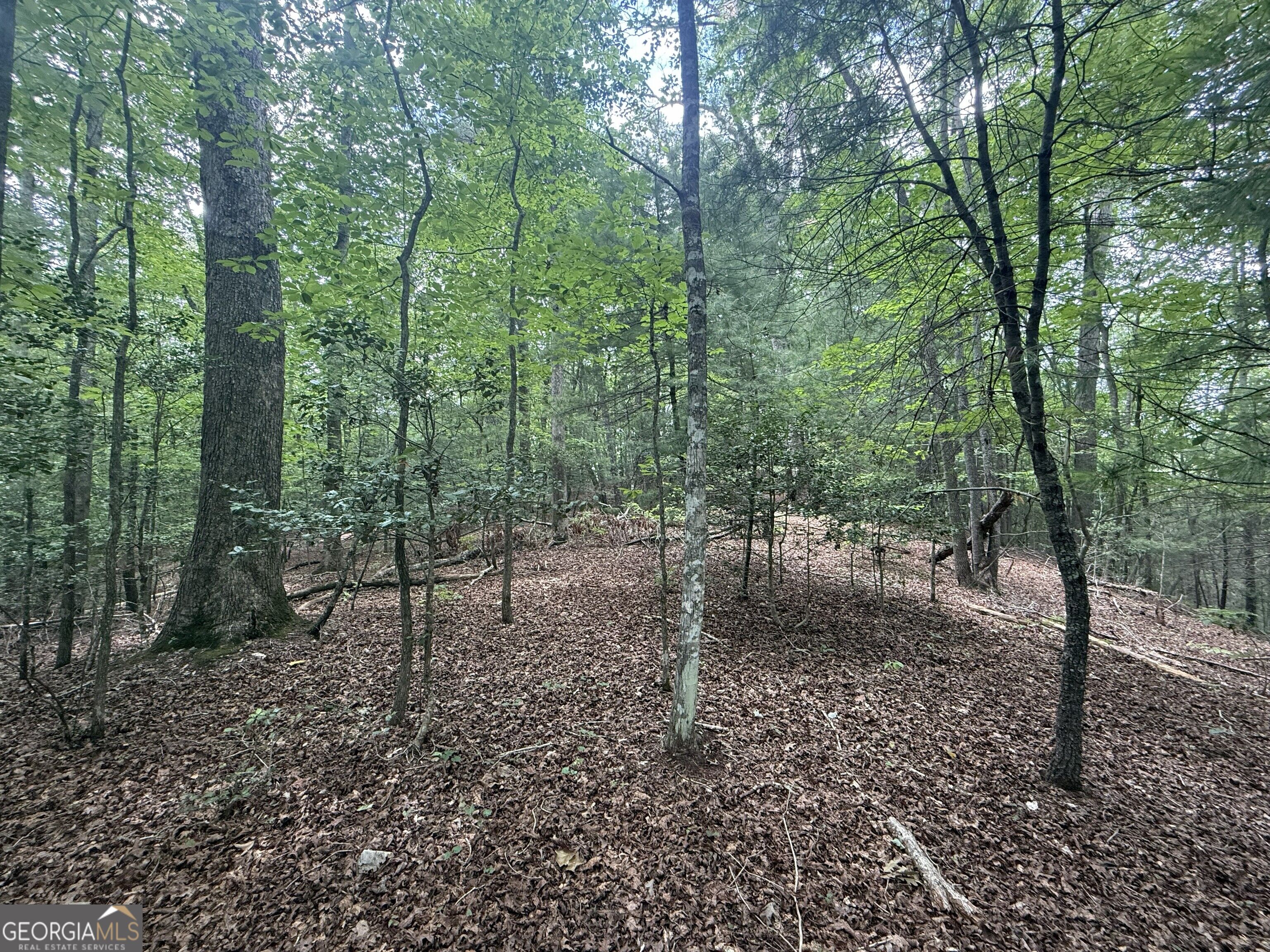 0 Yahoola Indian Trail Property Photo 15