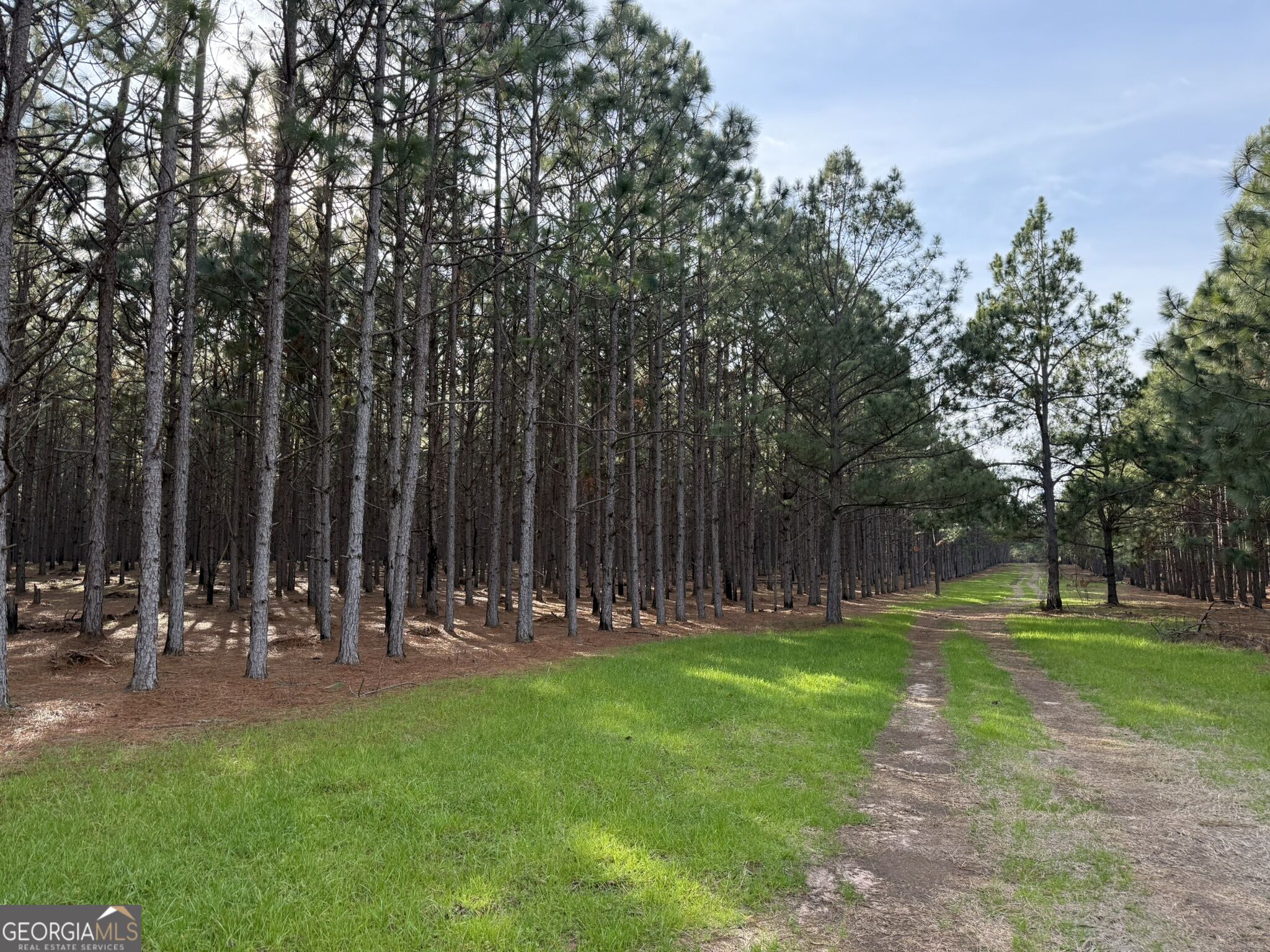 006 State Route 45 Property Photo 4