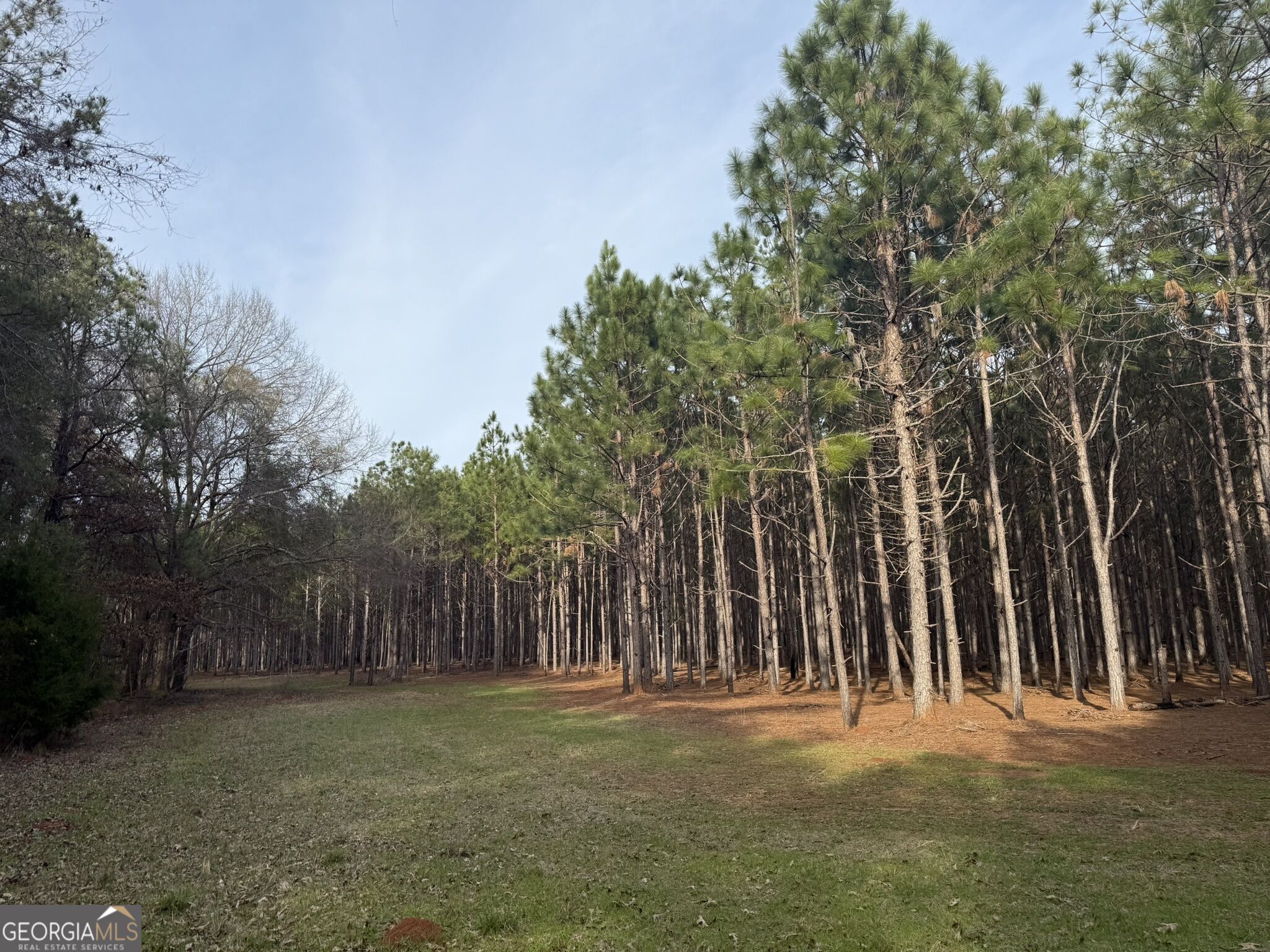 006 State Route 45 Property Photo 6