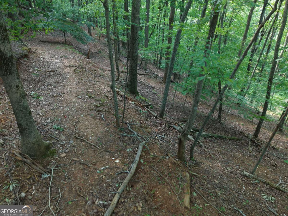 200 Crosscreek Trail Property Photo 14