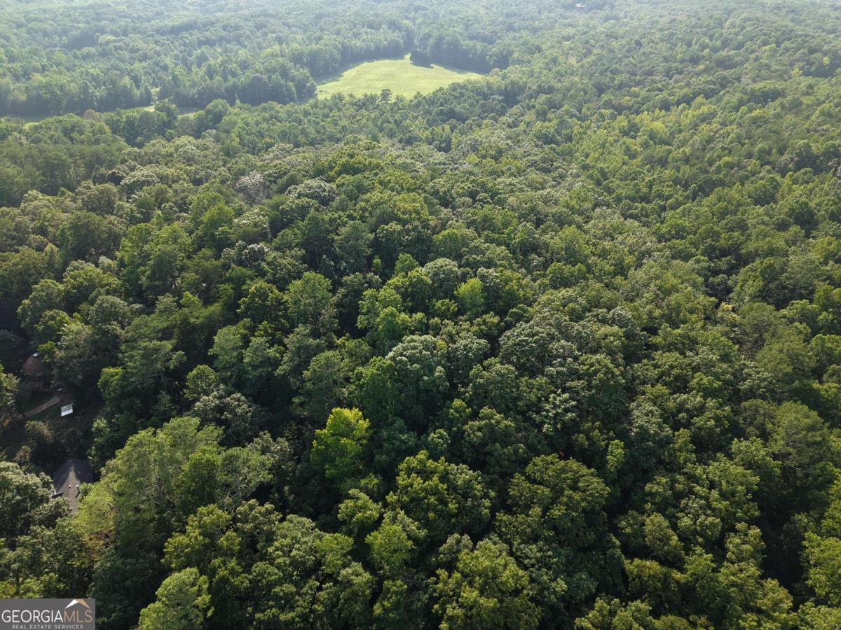 200 Crosscreek Trail Property Photo 15