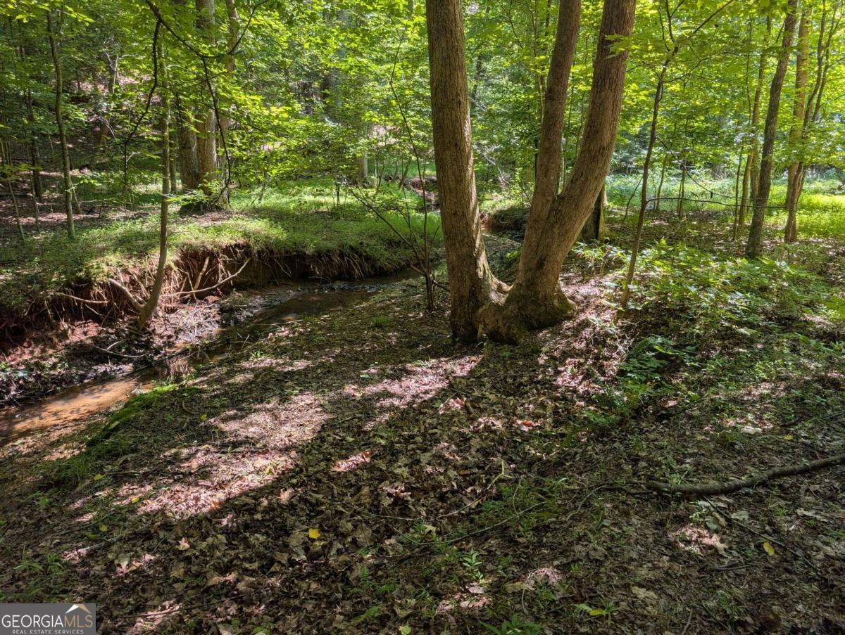 200 Crosscreek Trail Property Photo 20