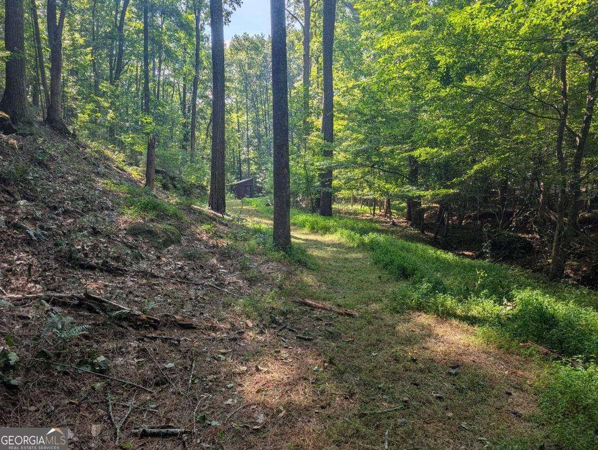 200 Crosscreek Trail Property Photo 23