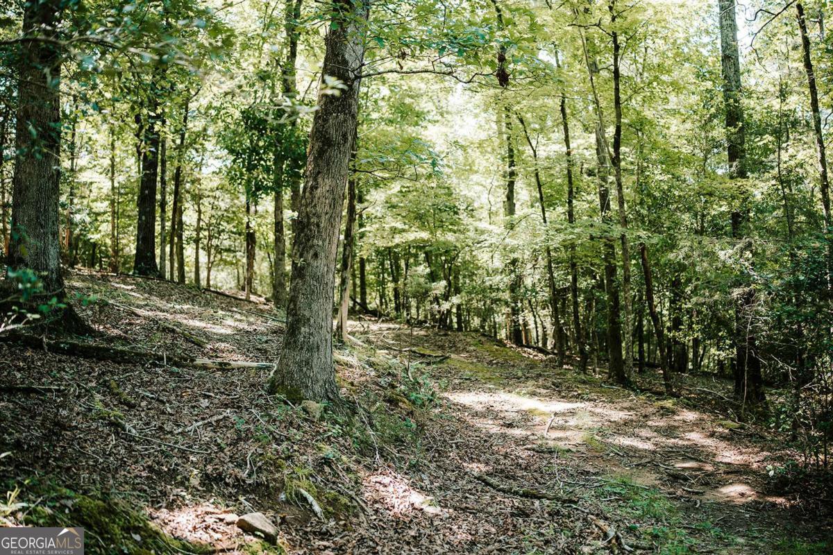 3288 King Hall Mill Road Property Photo 45