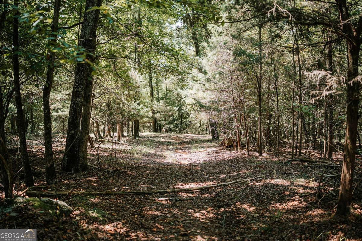 3288 King Hall Mill Road Property Photo 46