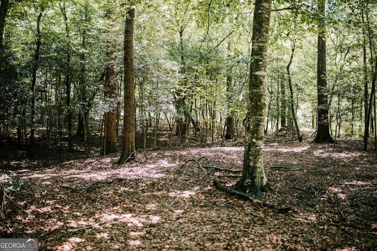 3288 King Hall Mill Road Property Photo 54