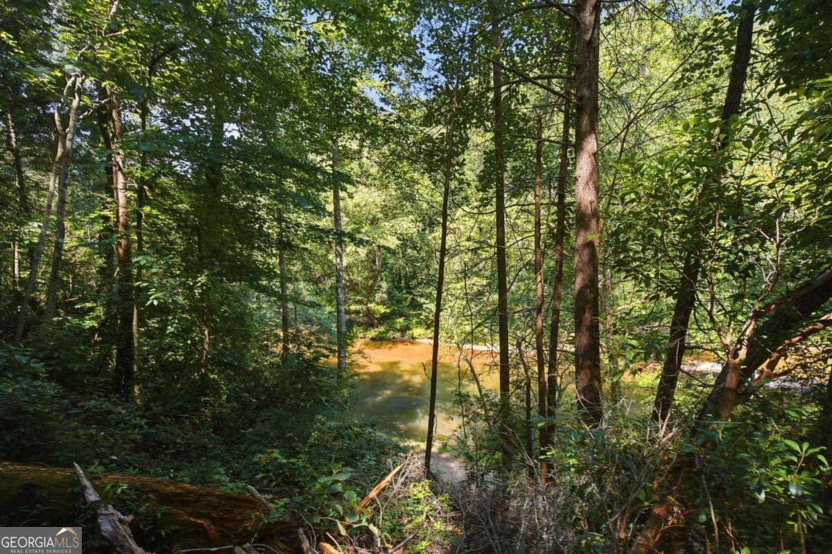 349 Whitewater Trail Property Photo 34