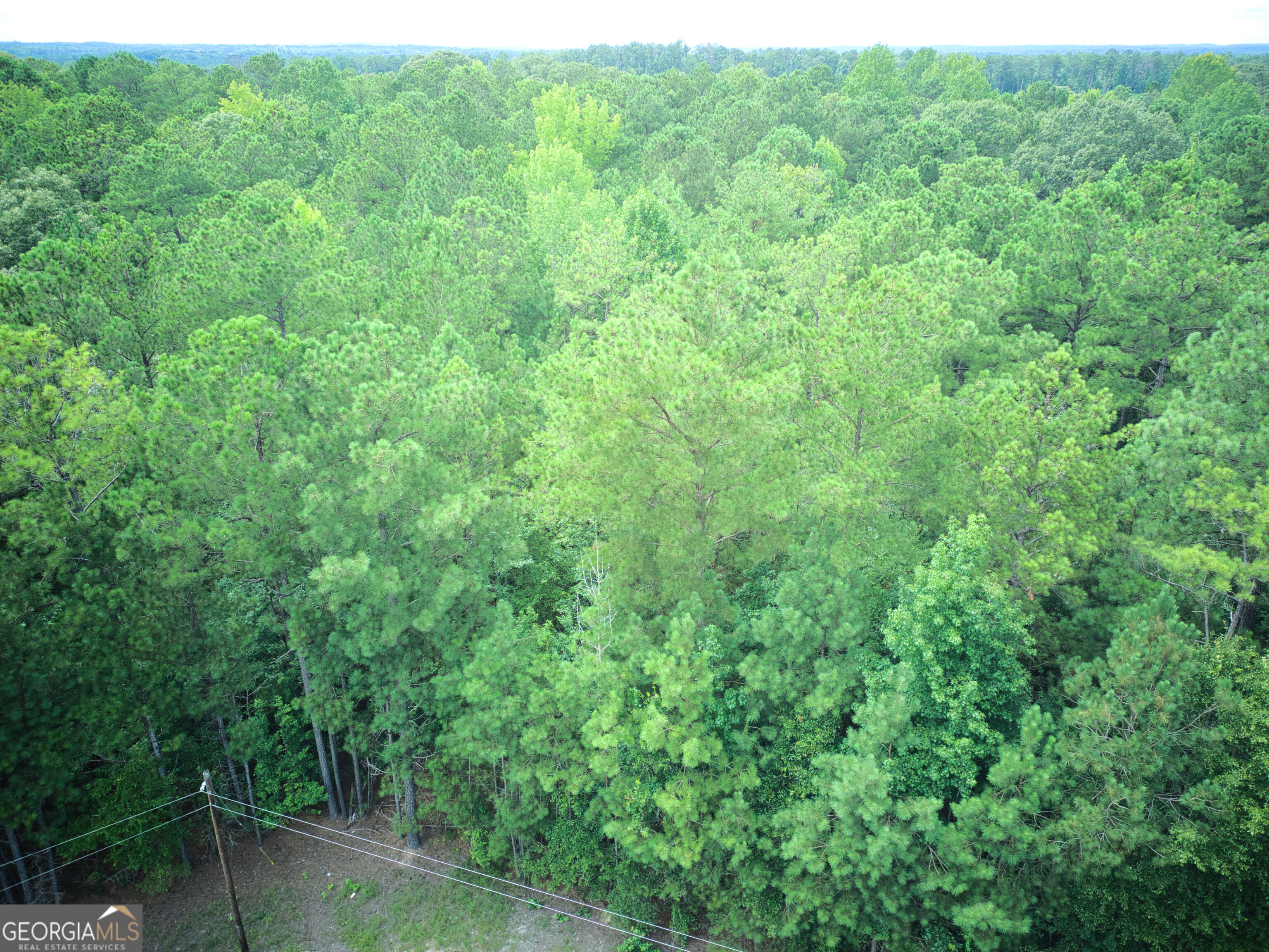 0 Parcel 100 Judge Brown Road Property Photo 3