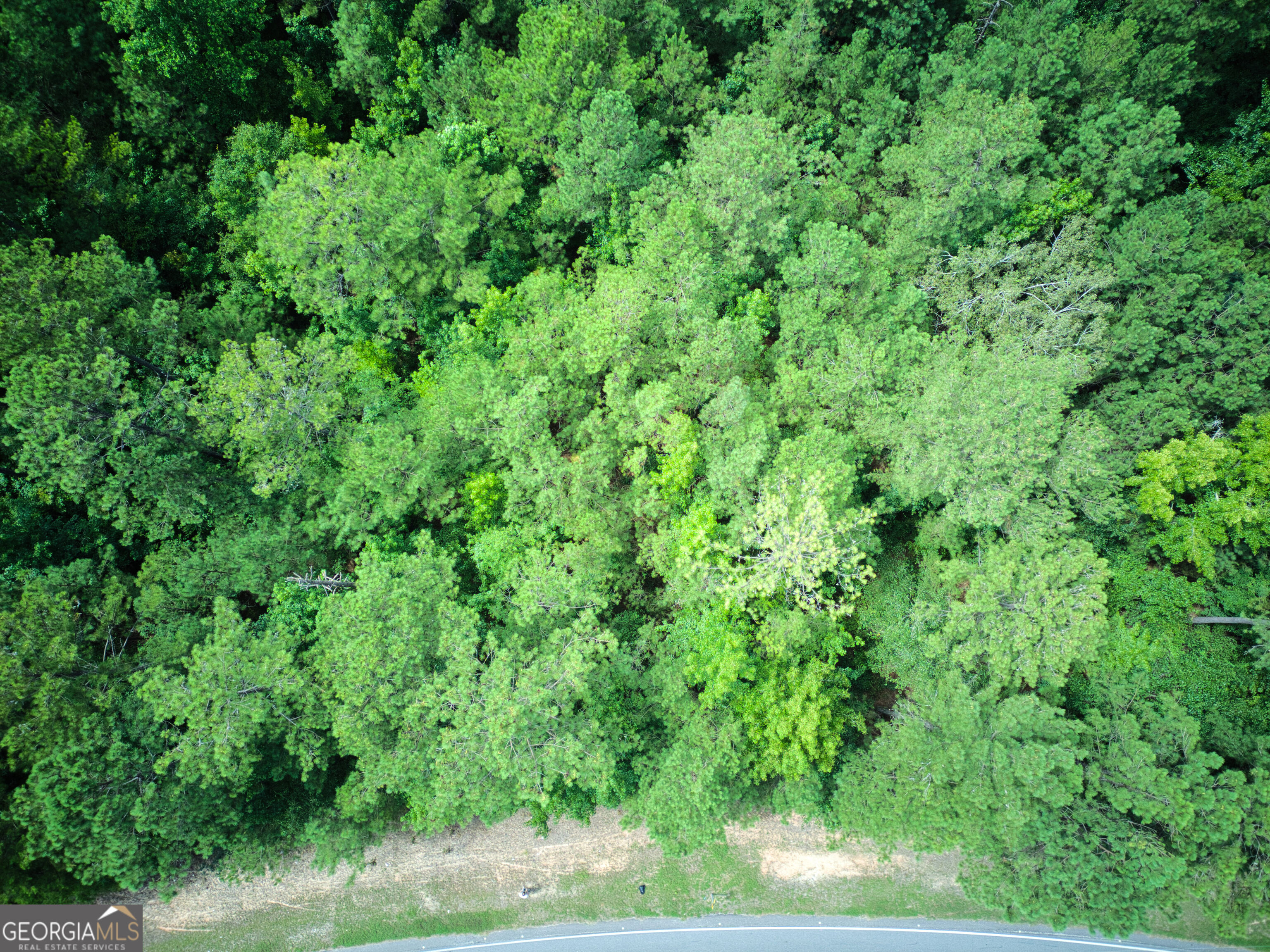 0 Parcel 100 Judge Brown Road Property Photo 4