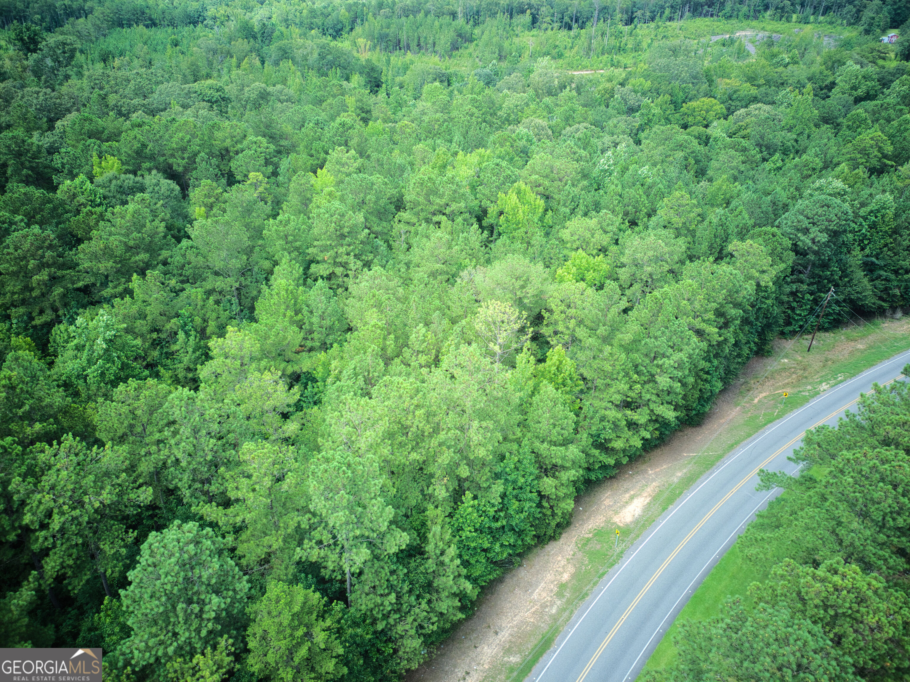 0 Parcel 200 Judge Brown Road Property Photo 2