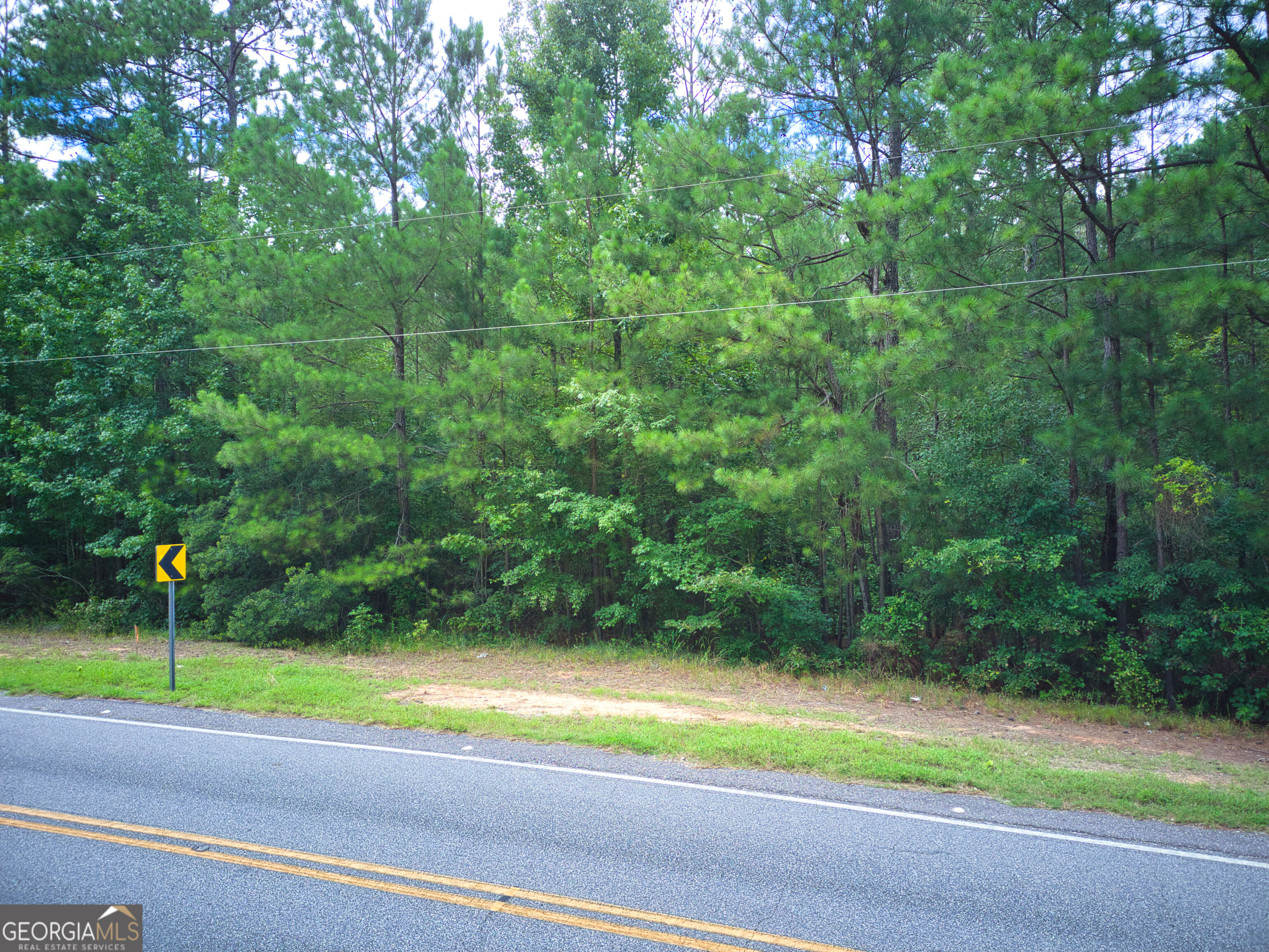 0 Parcel 200 Judge Brown Road Property Photo 4