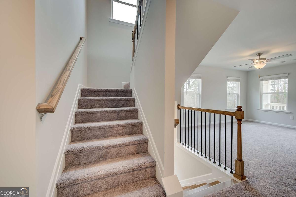 183 Dalston Cove Property Photo 26