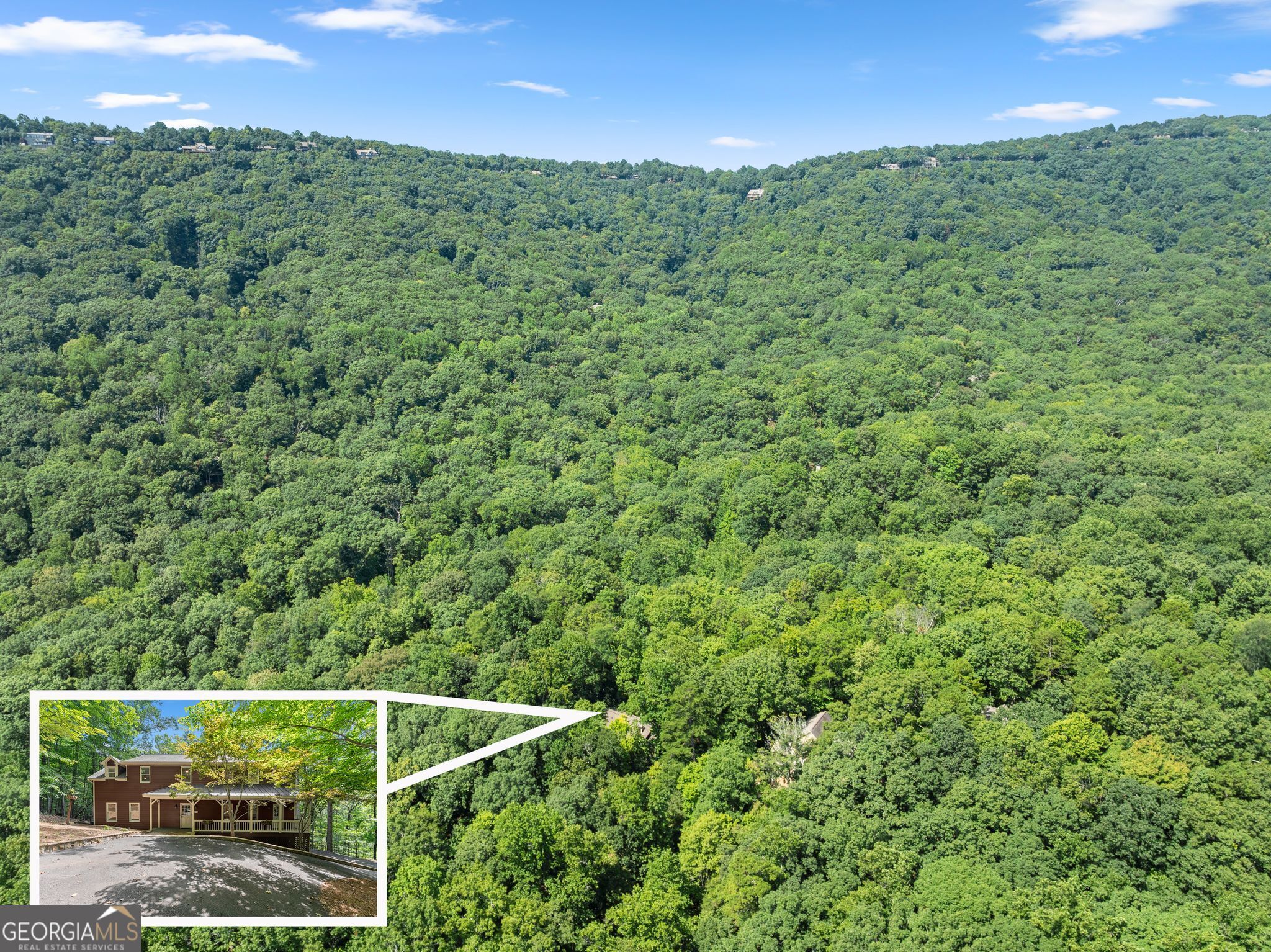 291 Trout Lily Trail Property Photo 60