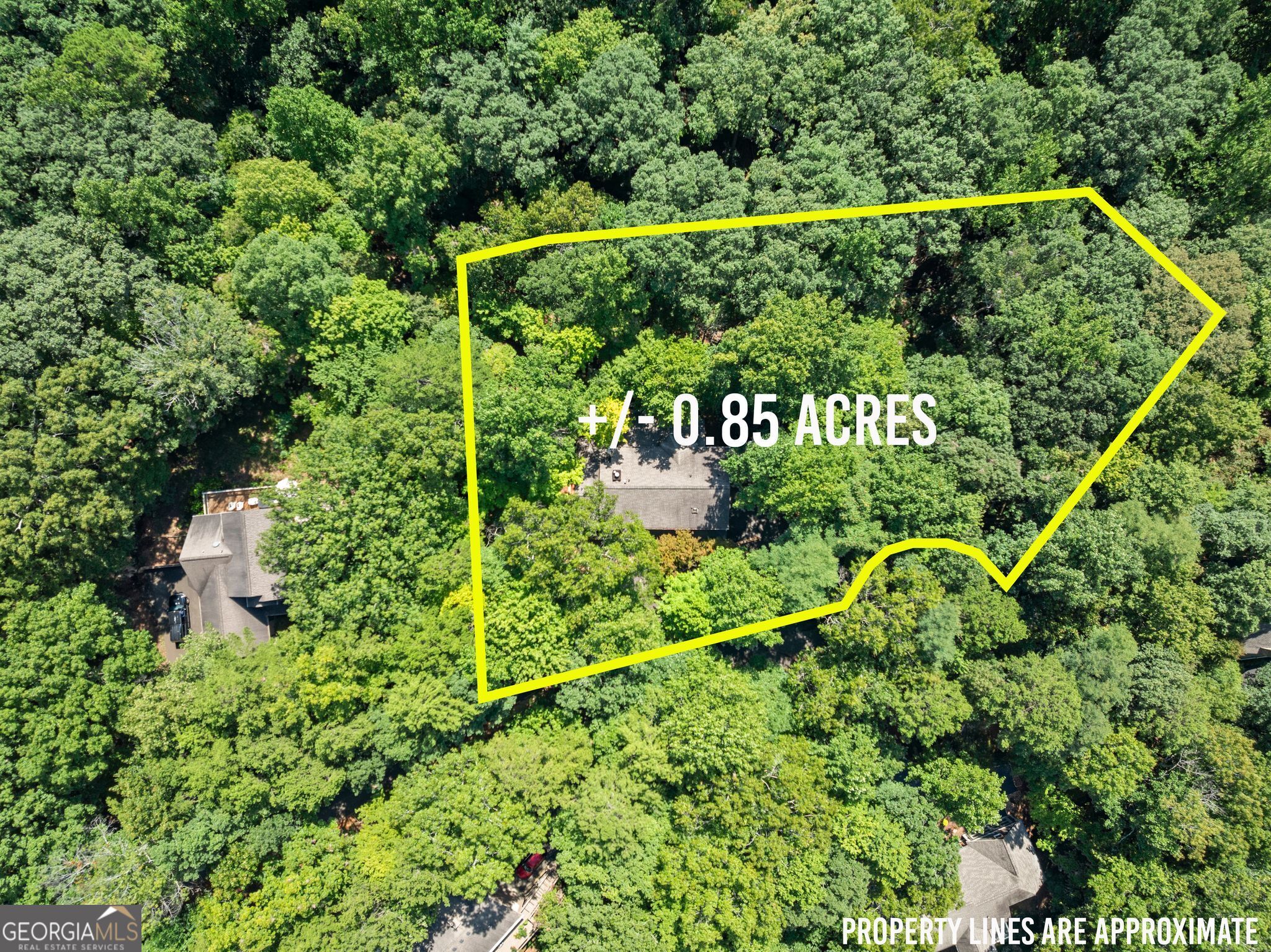 291 Trout Lily Trail Property Photo 61