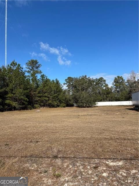 0 Shellman Bluff Road Property Photo 1