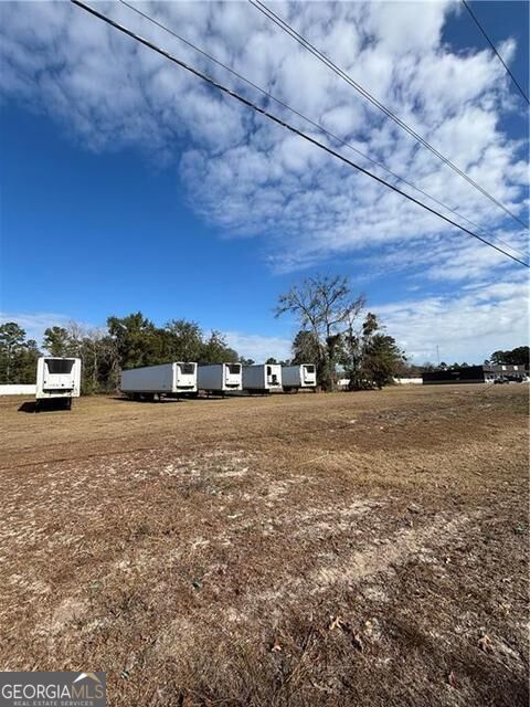 0 Shellman Bluff Road Property Photo 2
