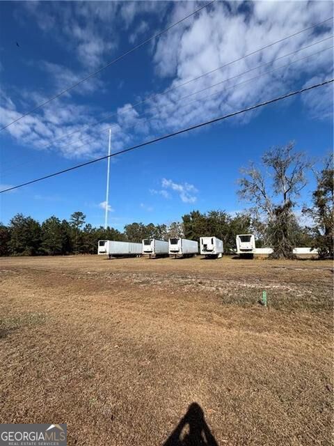 0 Shellman Bluff Road Property Photo 4