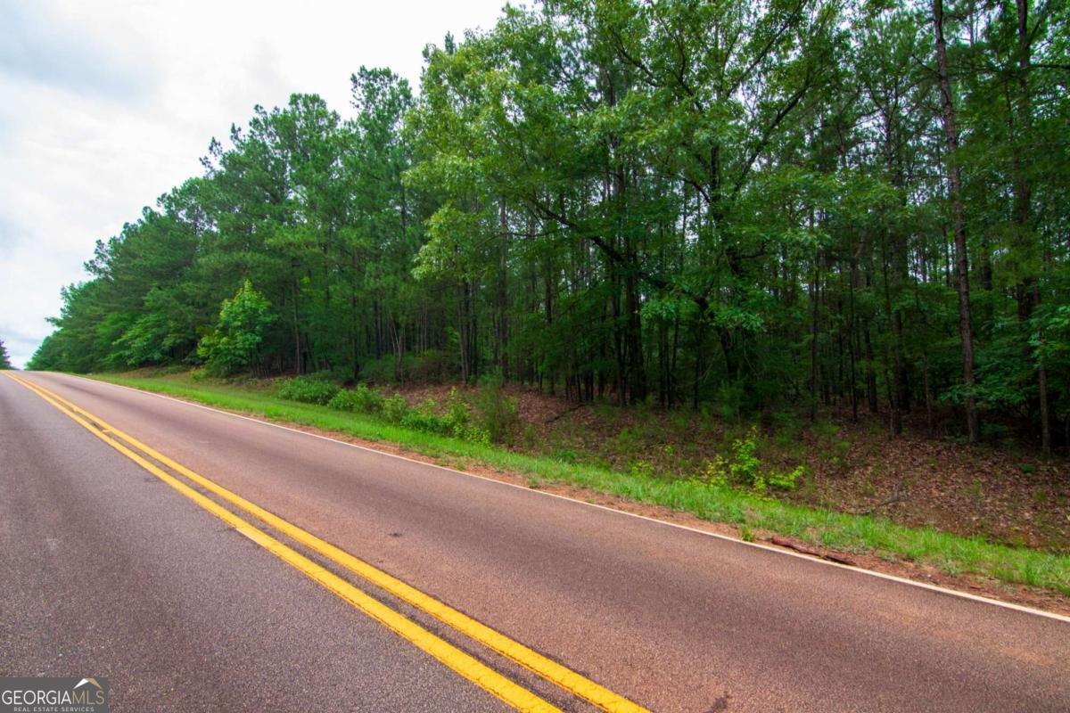 0 White Road Property Photo 4