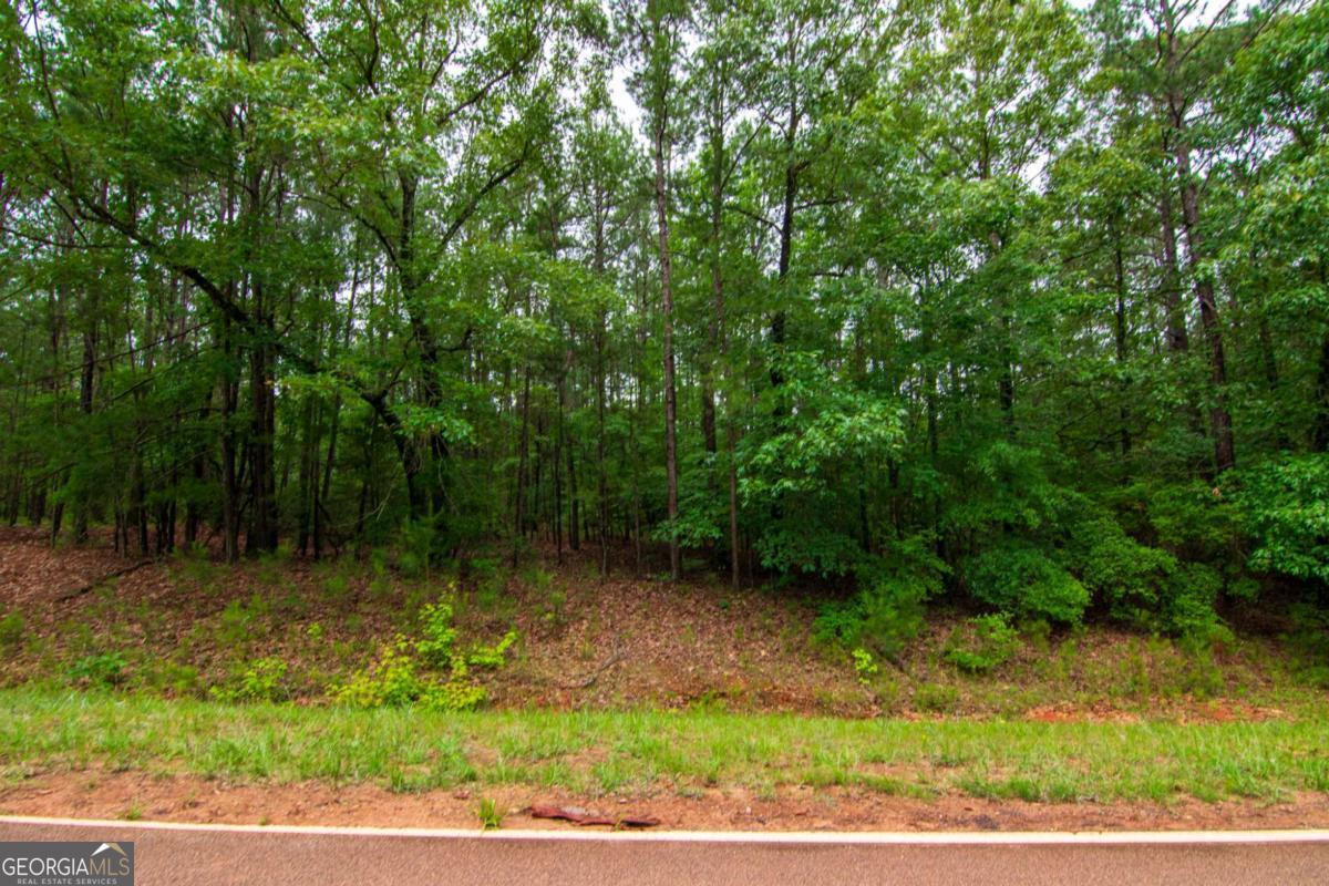 0 White Road Property Photo 5