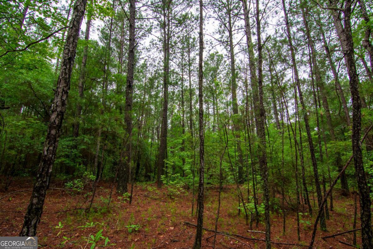 0 White Road Property Photo 6