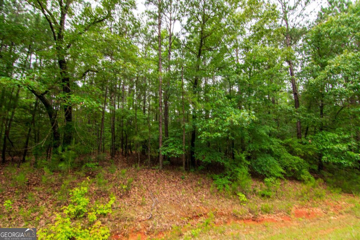 0 White Road Property Photo 9