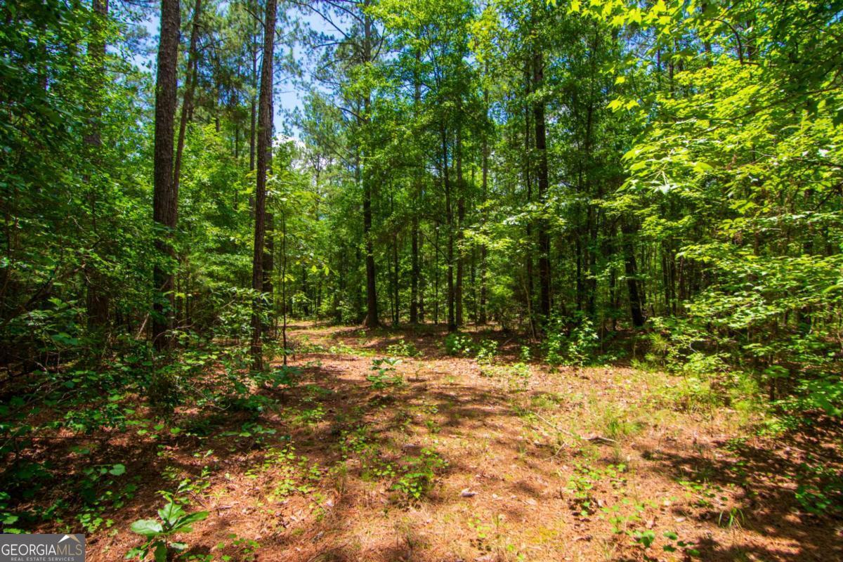 0 White Road Property Photo 10