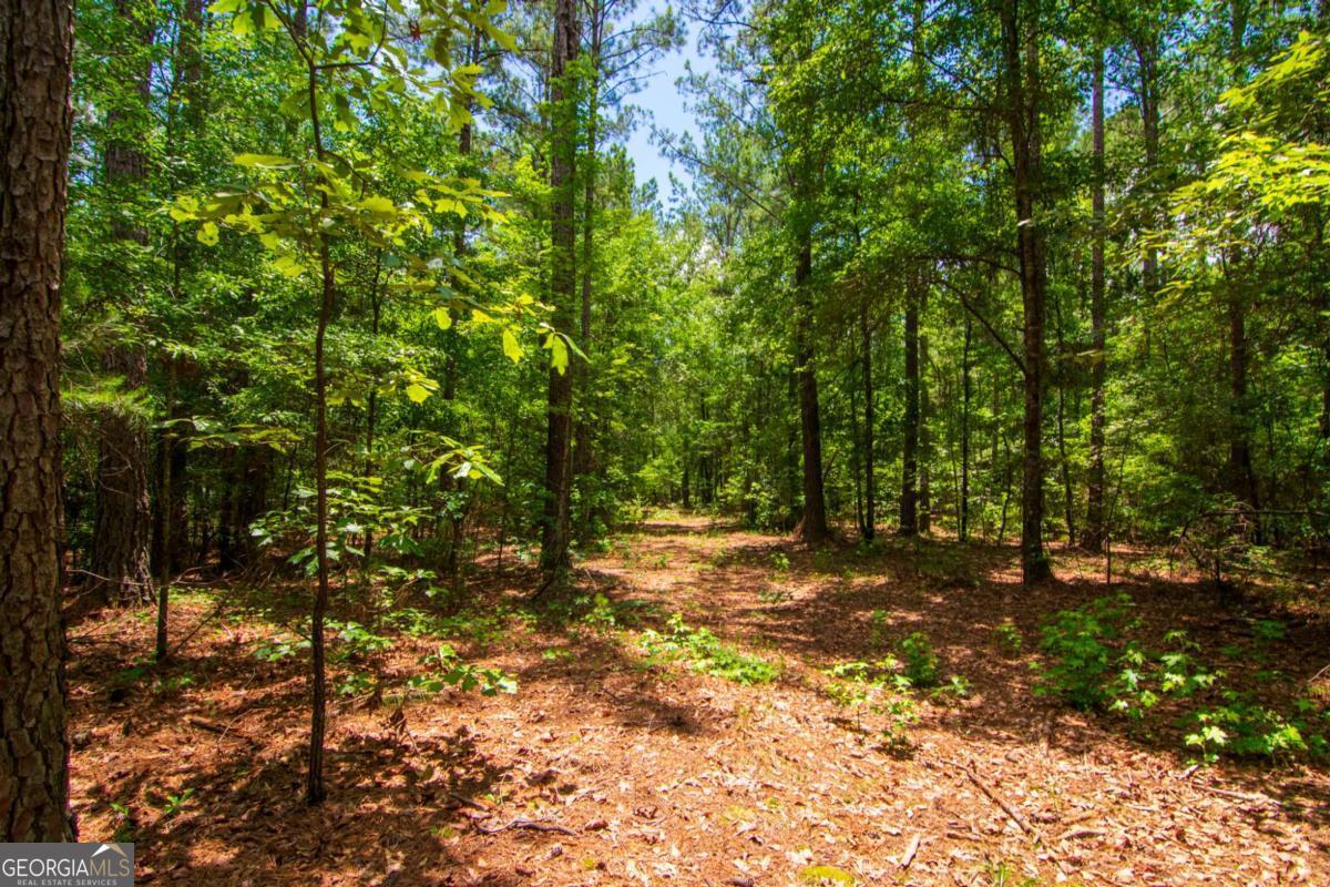 0 White Road Property Photo 11