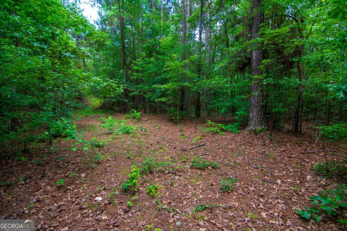 0 White Road Property Photo 13