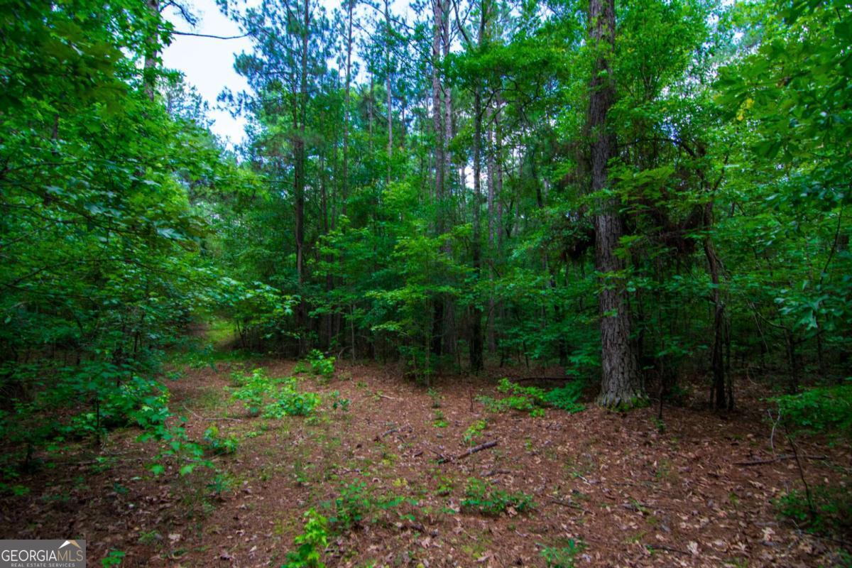0 White Road Property Photo 14